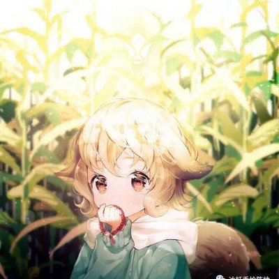 张雪峰推荐的6所专科院校